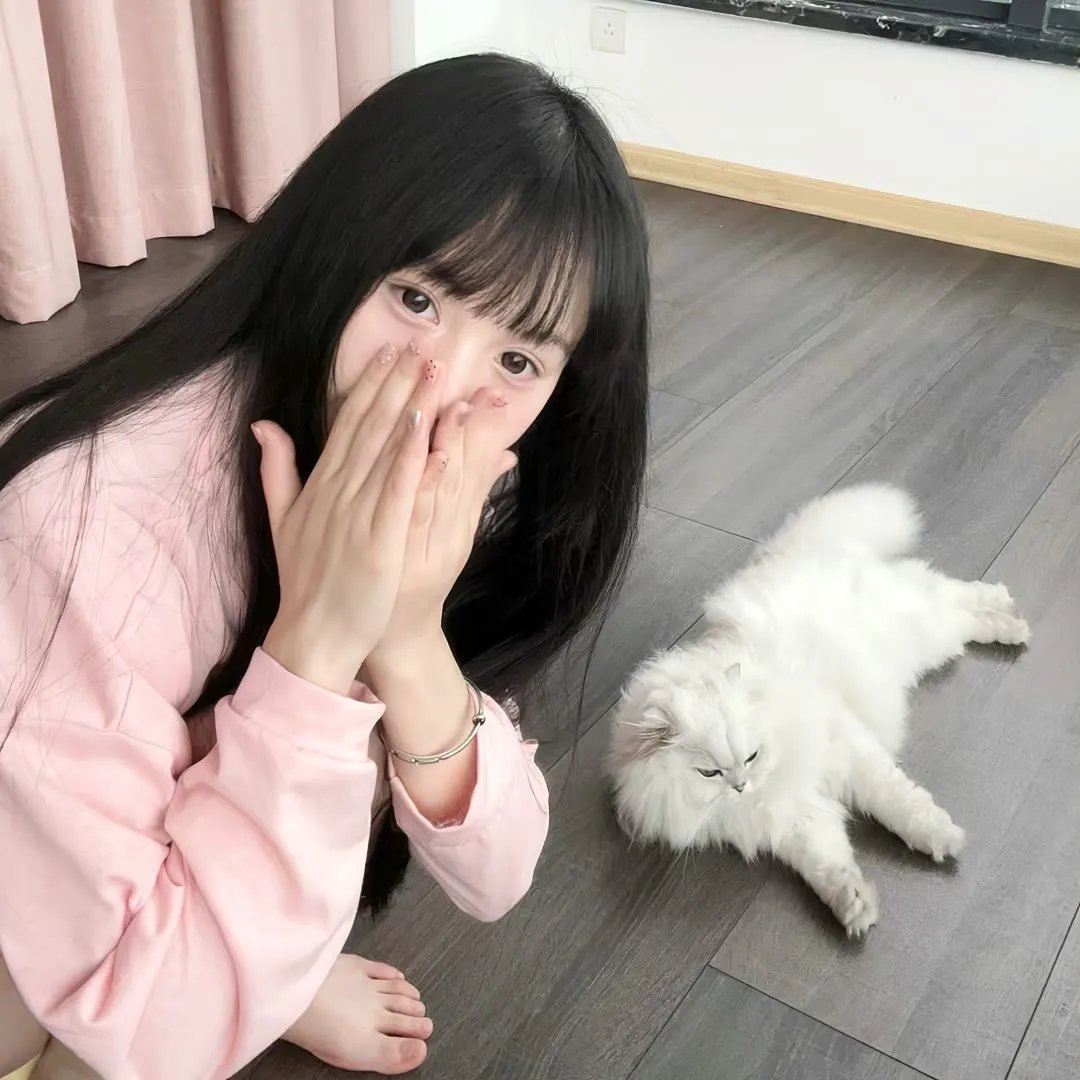 不可征服