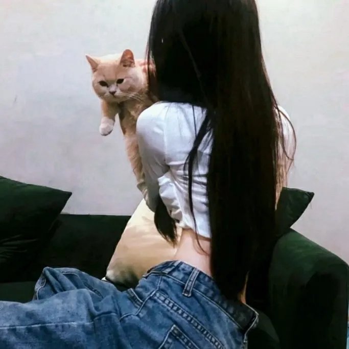 珍妮的战争